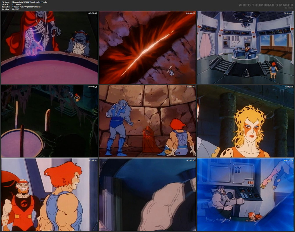 ThunderCats S03E01 ThunderCubs (1).mkv