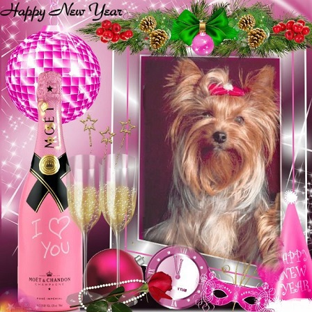 pixiz 27 12 2025 17 18 56