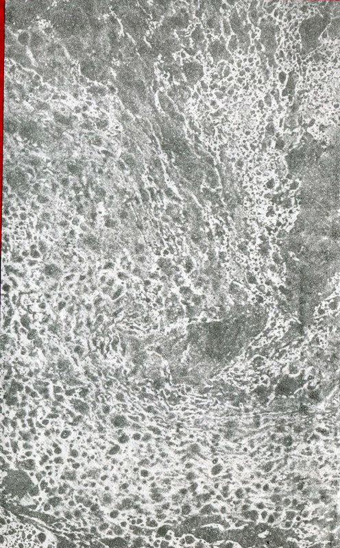p0002