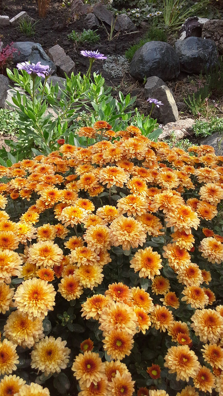 20120410_171109