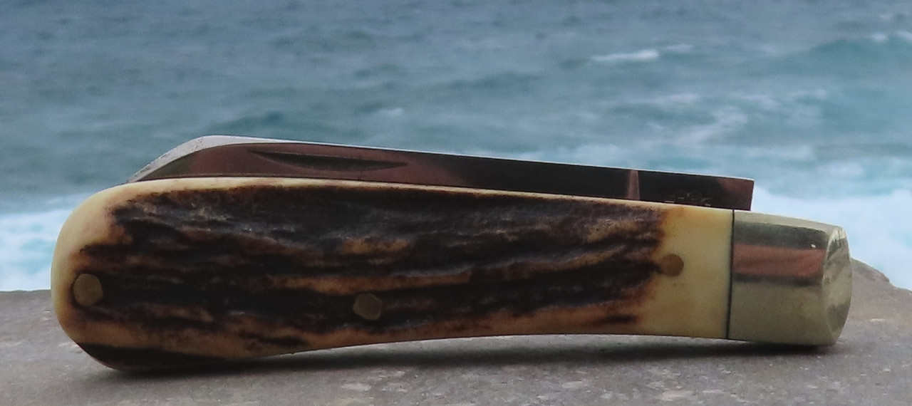 AW Small Sambar LF (2) 17-6