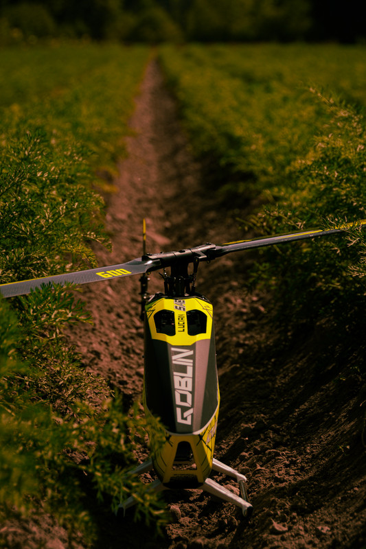 DSC_0072(1)_14026035829630