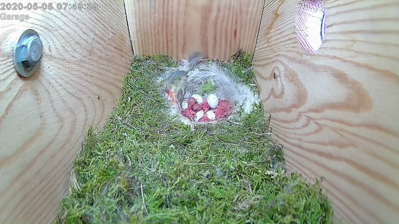 8AD6EE63-990B-4657-85D1-20028CC3B421