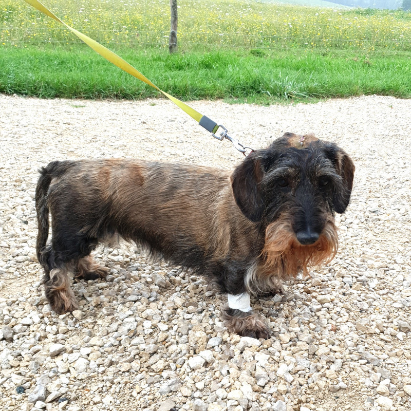 [Image: 20210805-201831.jpg]