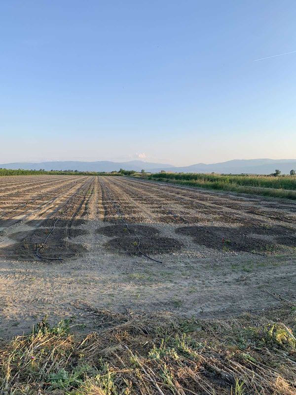 εικόνα_Viber_2022-06-17_12-42-40-954