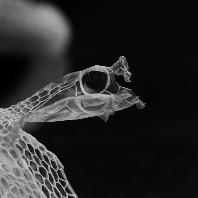 _MG_0773-Pano (2024-04-05T19_07_56.609)