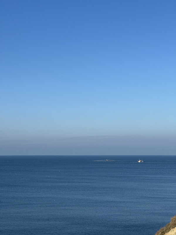 IMG-8368.jpg