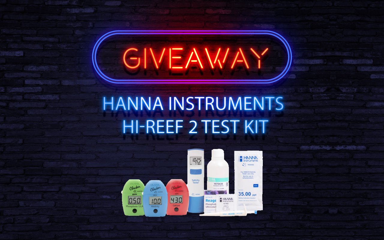 hireef2giveaway.jpg