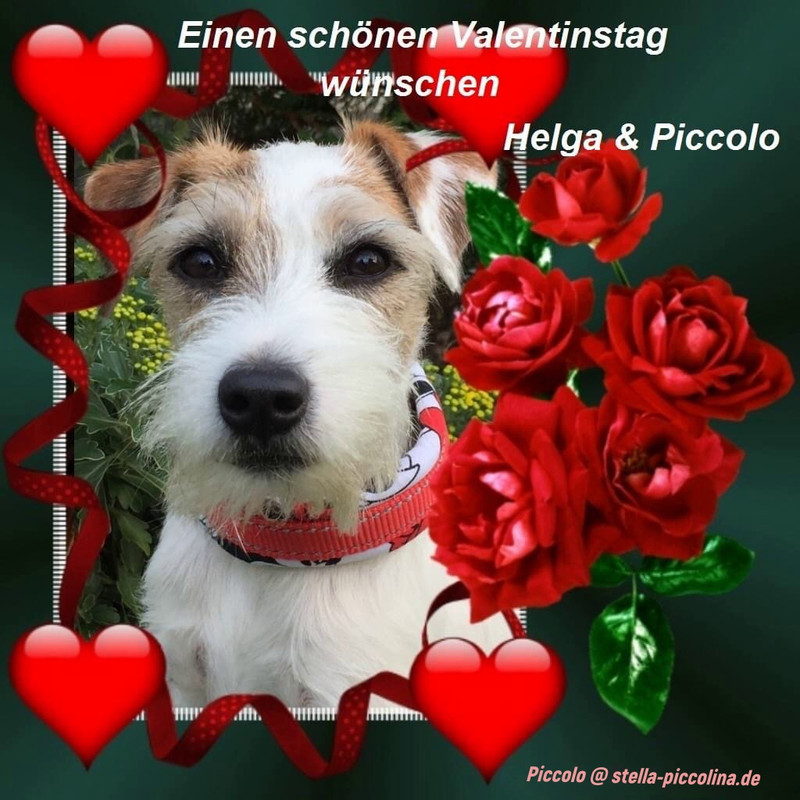 An den Beitrag angehängtes Bild: https://i.postimg.cc/nhm3Qsvt/VALENTINTAG-02.jpg