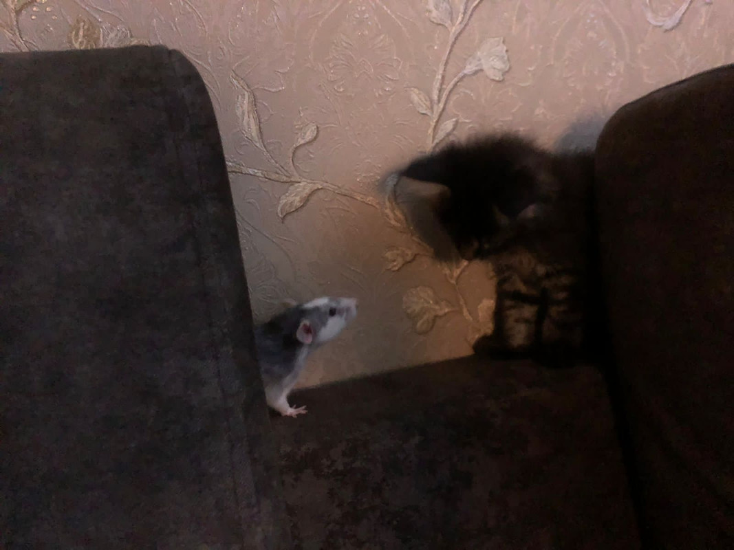 DE870C7C-1B77-4B4B-AEE2-5FDD52826D96