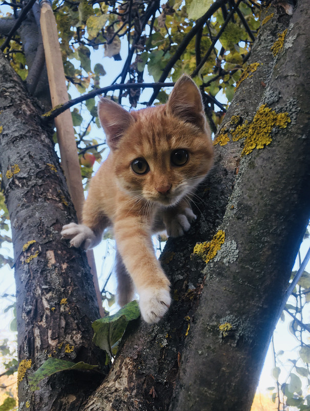 27E89222-887D-4BF6-856A-2B7F1C7C49EE