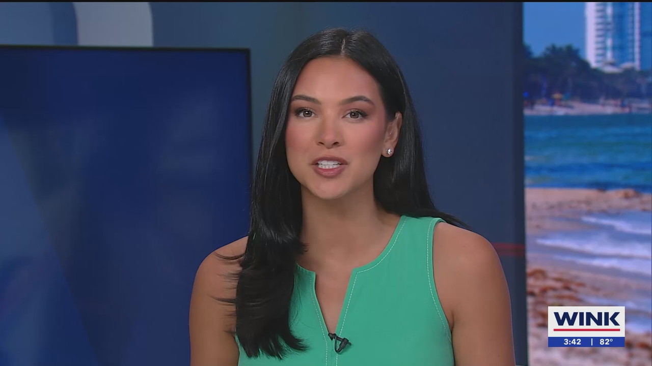 07.02 - 20.00.00 - WINK News at 3pm  ᴺᵉʷ. No Description Info.ts_snapshot_00.43.20.856