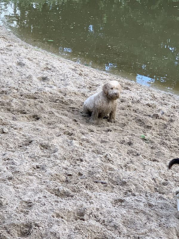 AEF04487-2E86-41E1-974A-77C5D7E95515