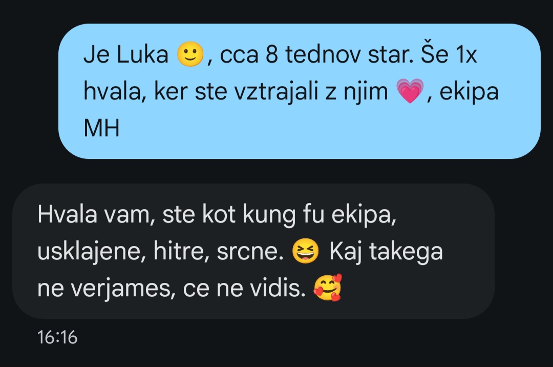 Slika