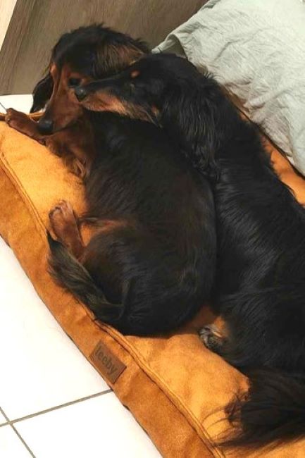 [Image: IMG-20240922-205403.jpg]