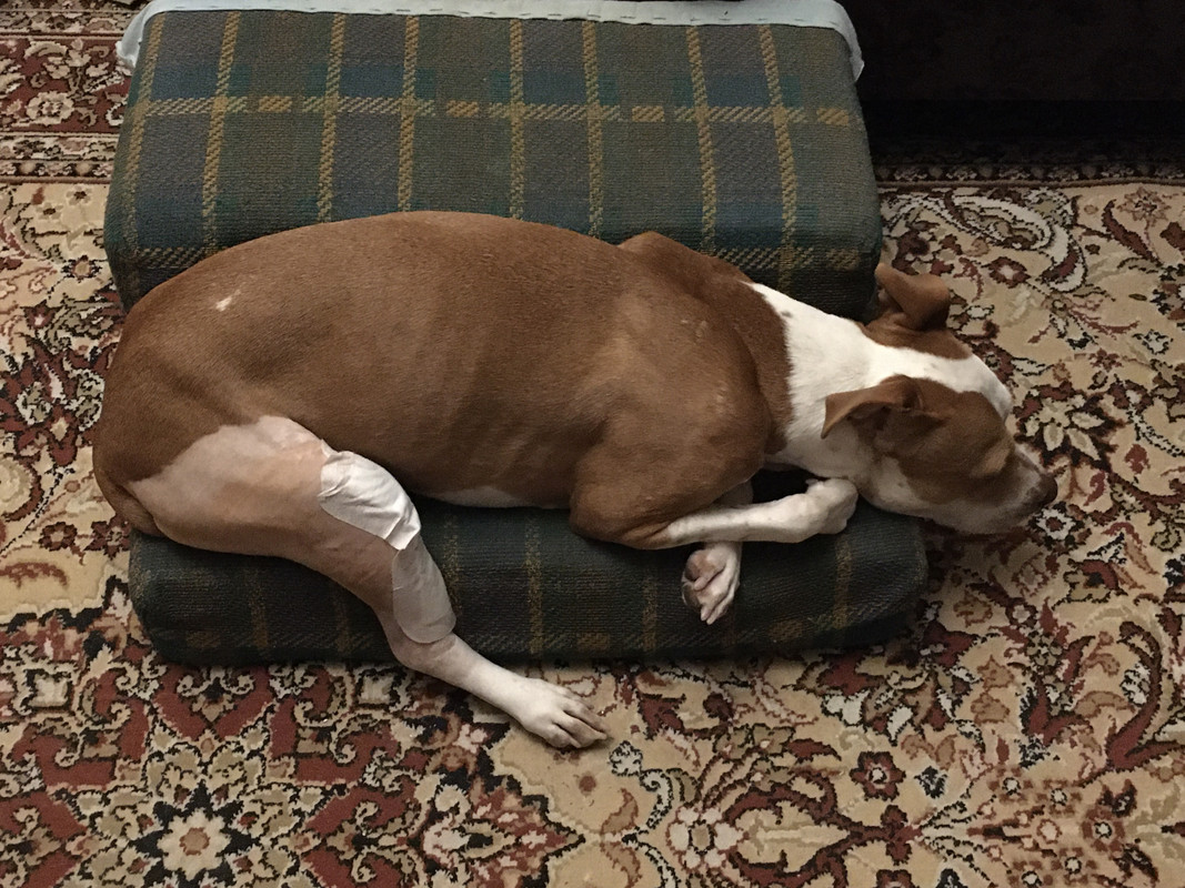 D296BEF2-CF64-4CF7-B209-FFAD6527A8D2