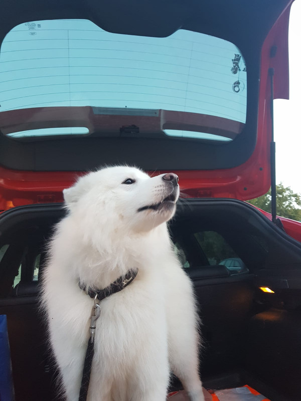 WhatsApp Image 2018-08-24 at 23.17.18(2)