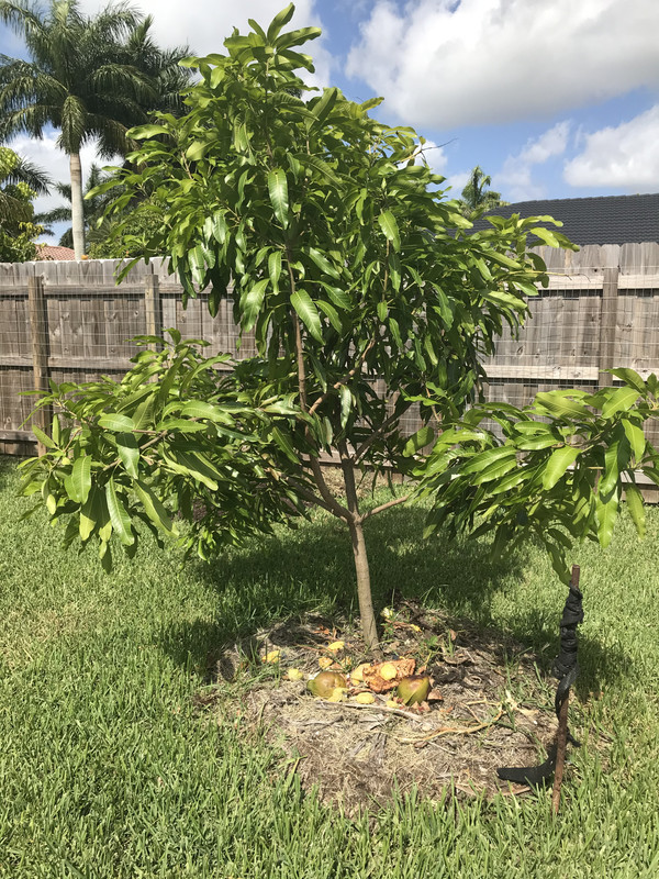 7A5CD17C-2C90-451B-B260-21DF9F48056D