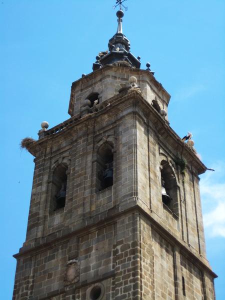 Talavera de la Reina-12-6-2011 - Toledo y sus pueblos-1996/2026 (19)