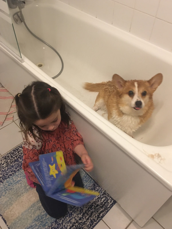 [Image: 526-B70-A5-7254-4-B88-B942-E974-A6751-CD9.jpg]