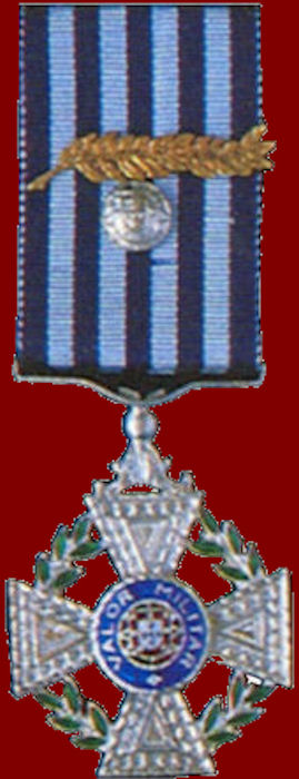 Medalha-de-Prata-de-Valor-Militar-com-Palma-vm-700
