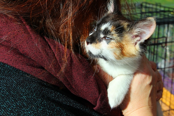 3DAB8D86-7BBA-4B18-BE54-B848DFF0BE39