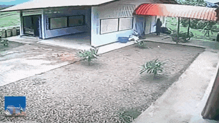 daily-gifdump-3383-16.gif