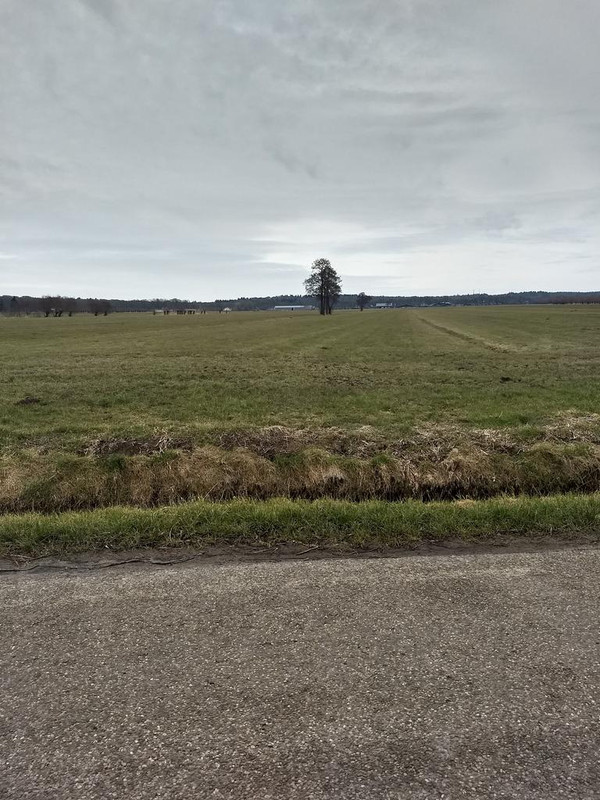 IMG_20180310_132425925_HDR