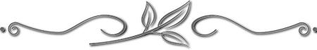 wm9t3fnq8n8