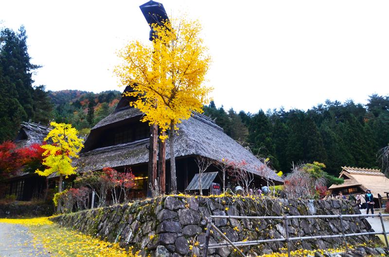 Saiko Iyashi no Sato Nenba-16-11-2024 - Japón y sus Pueblos-2024 (16)