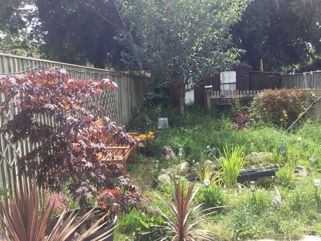 A21CDD27-CEA3-4AC5-87EA-2A0C83D5DF0C