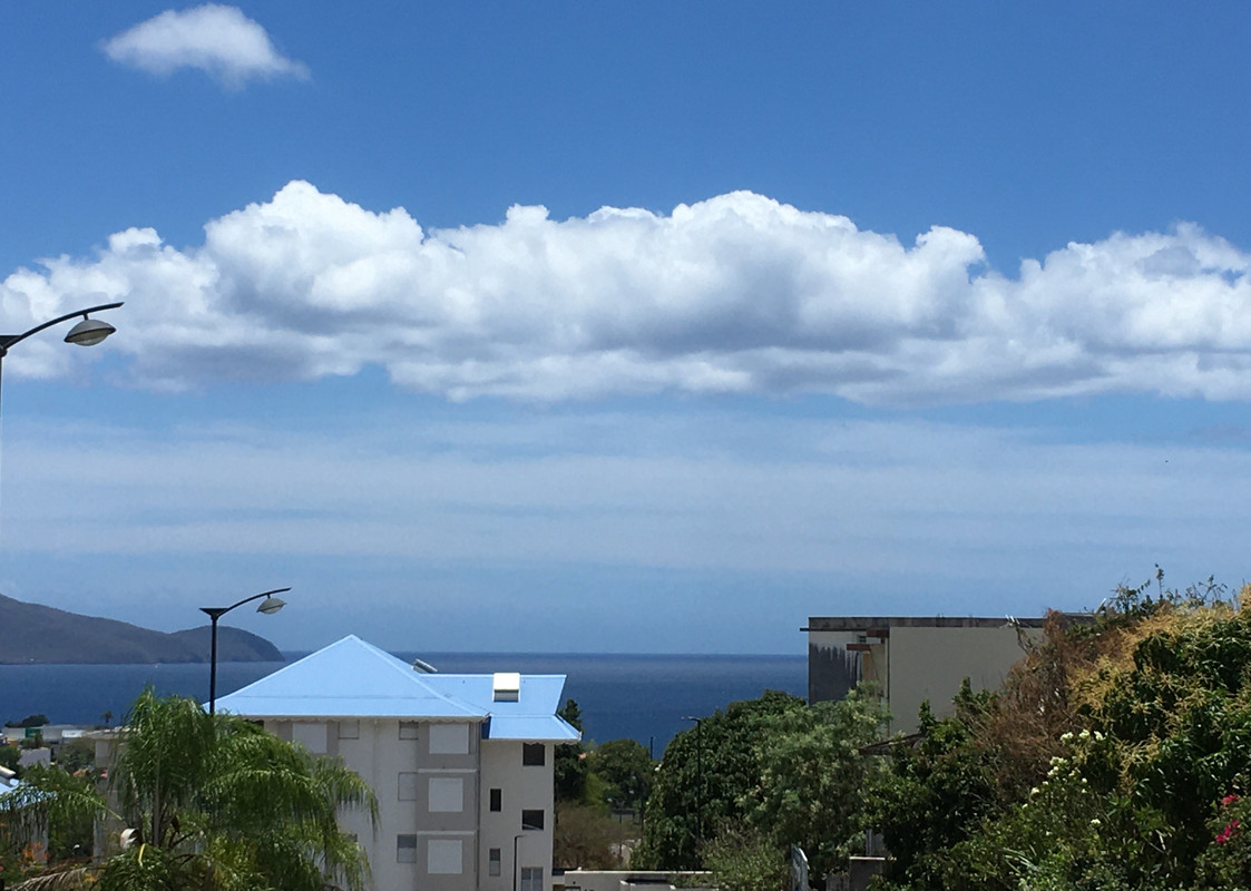 Zoom 50% iPhoneSE_2107