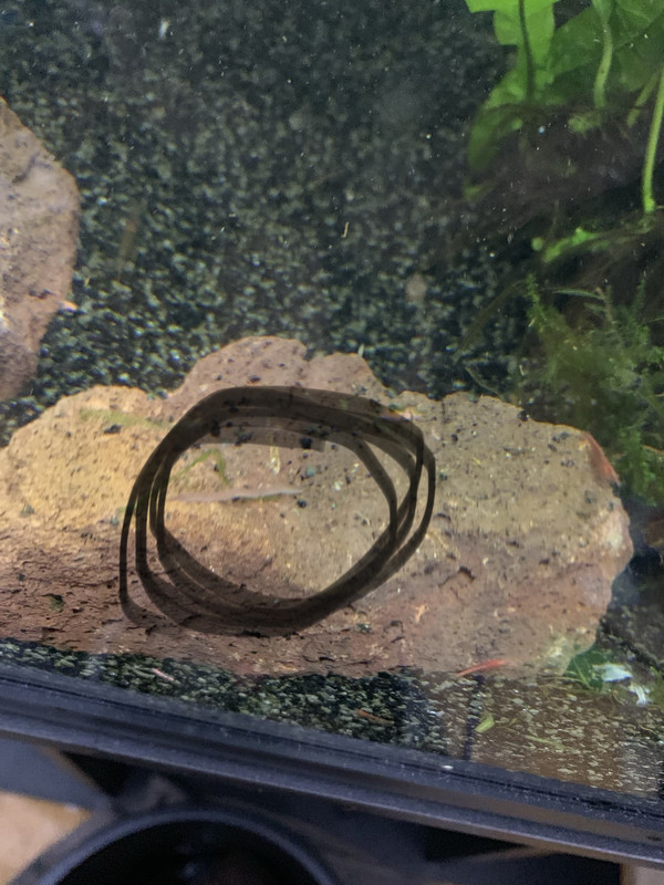 E1CAAFDA-3BC8-4AAF-B81D-4E0E44656E7B