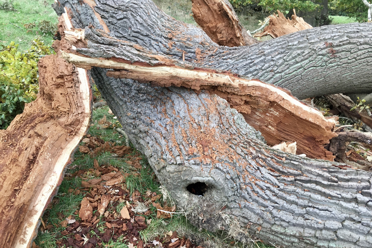 733422C8-373D-437C-9798-2E53284A4B38