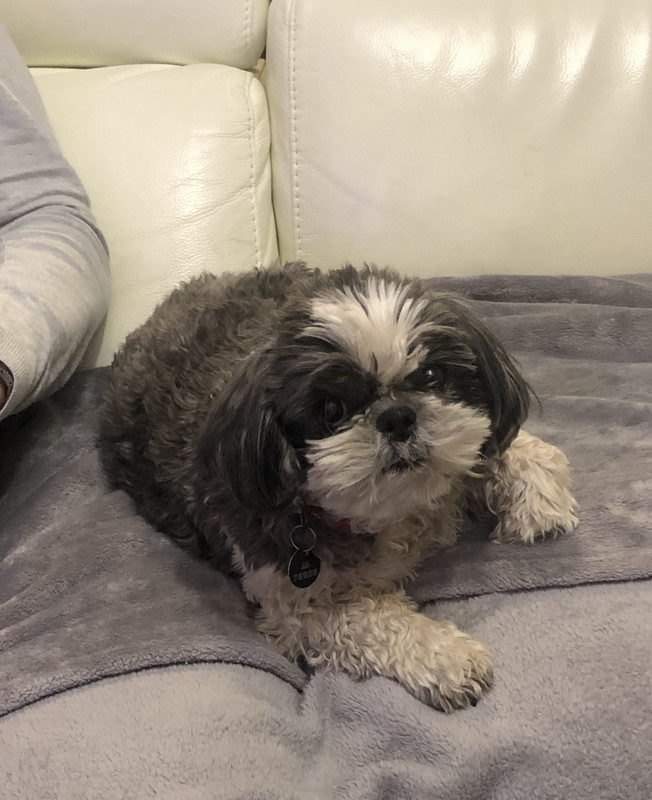 [Image: IMG-1344.jpg]