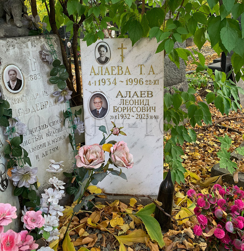 alaev-lb