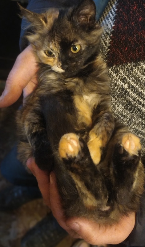 IMG_20201219_143558_2