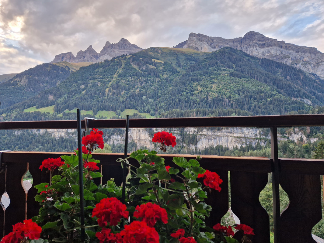 [Image: 20230916-074342.jpg]