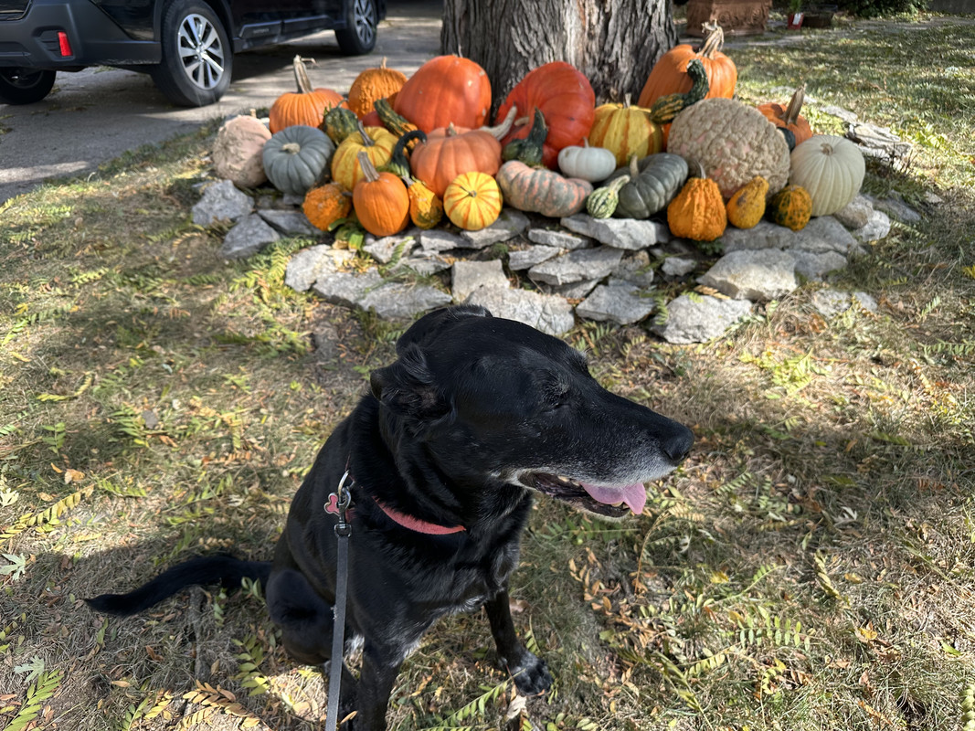 2283D629-BC02-429C-8DFA-A5B656B87280