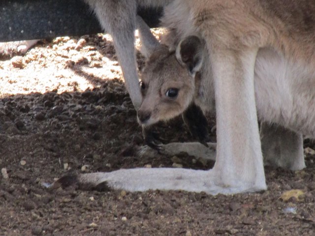 IMG-1889.jpg