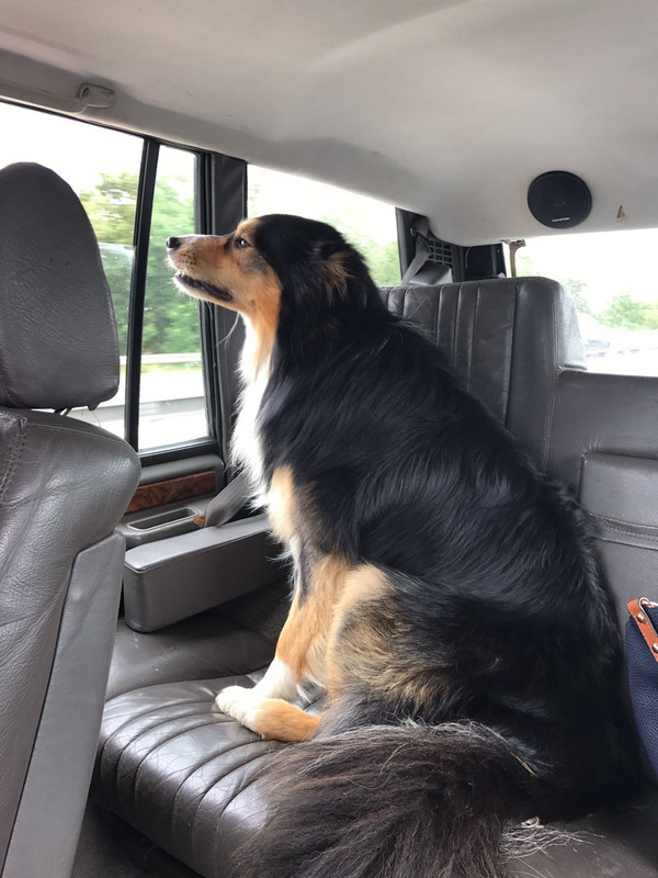 E1812170-FB1A-4479-9817-D0BB5150A06E