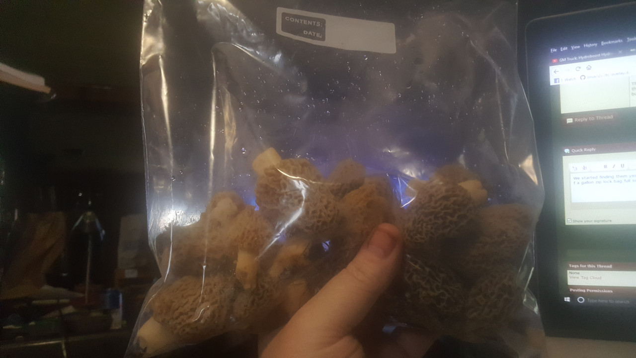 mushrooms