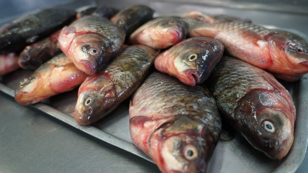 «Попробуй Рыбинск на вкус» ✓ Новости Рыбинска и не только