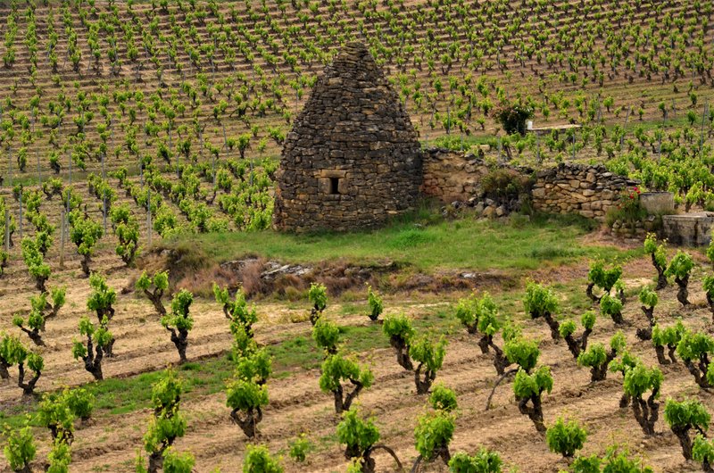 LAGUARDIA-21-5-2021-ALAVA - Los pueblos más bonitos de España-2010/2023 (110)