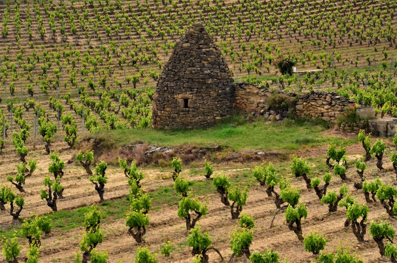 LAGUARDIA-21-5-2021-ALAVA - LOS PUEBLOS MÁS BONITOS DE ESPAÑA (LISTA OFICIAL)-2010/2023 (110)