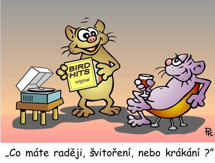 kantorek
