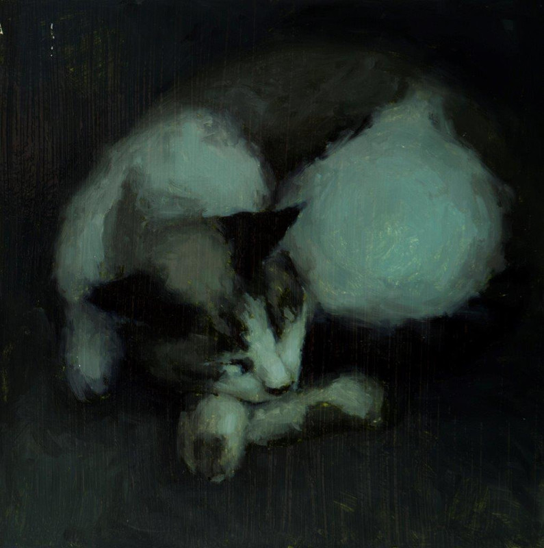 5 — Postimages