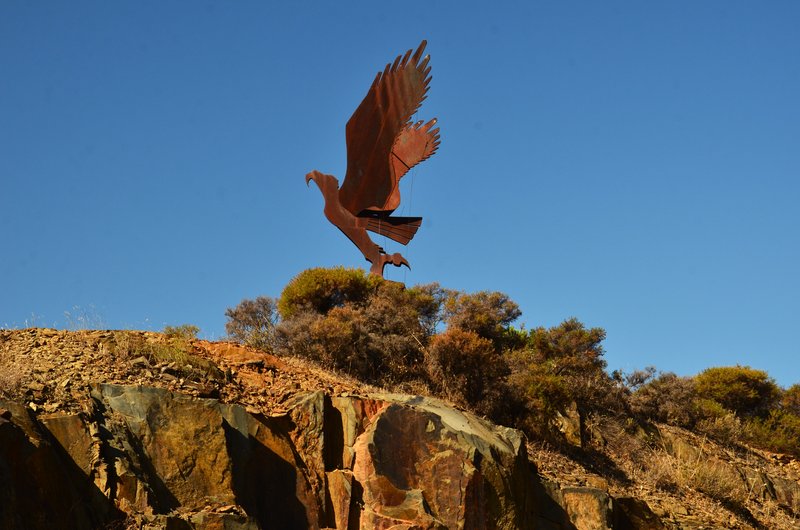 PARQUE NACIONAL DE MONFRAGÜE-2020/2023 - EXTREMADURA Y SUS PUEBLOS -2010-2023 (161)