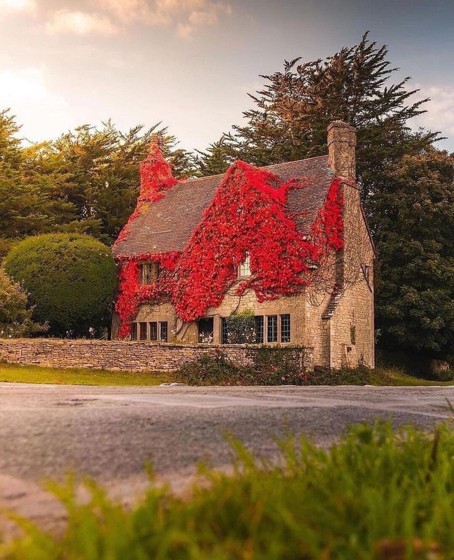 Screenshot_20231112_203154_Instagram