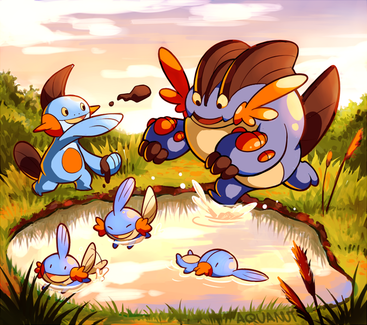 mudkip-swampert-and-marshtomp-pokemon-dr